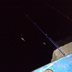 タチウオがいる