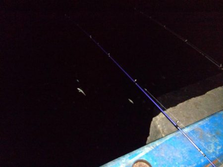 タチウオがいる