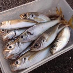 冷え込みの影響？