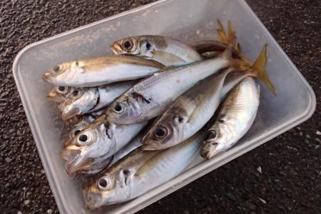 冷え込みの影響？