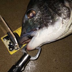 アメニモマケズ　~辰巳橋~