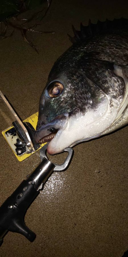 アメニモマケズ　~辰巳橋~