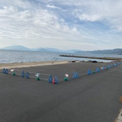 秋イカシーズン終盤