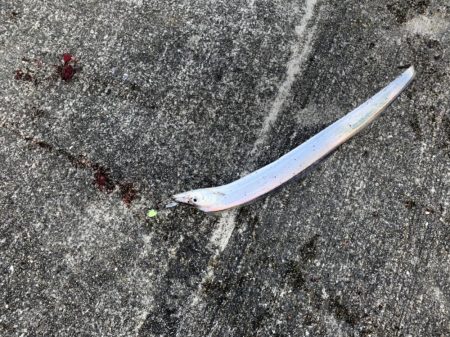 昨日のリベンジ