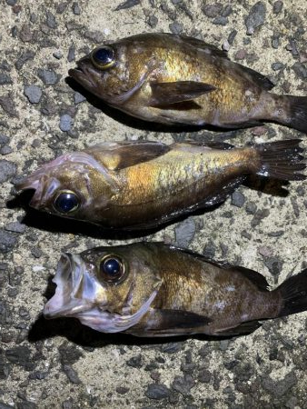 地合いつかめず