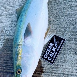 ショアジギング