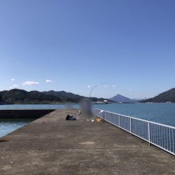 ちびヒイラギ祭り