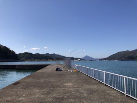 ちびヒイラギ祭り