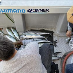 オフショアジギング　タチパターン