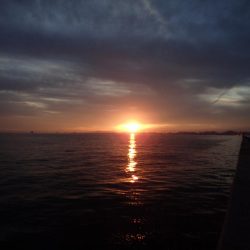 メーター超え×2匹