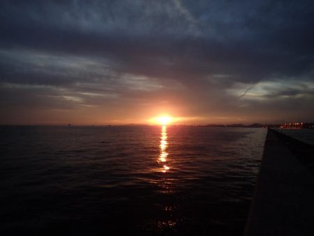 メーター超え×2匹