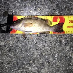 諦めかけたその時だった‼︎