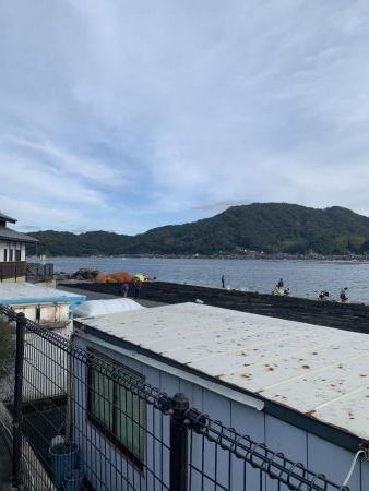 まさかのヒラメ