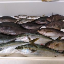 爆風の隠岐の島