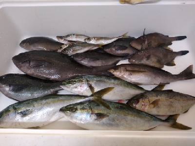 爆風の隠岐の島