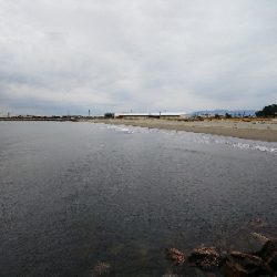 メッキシーズン終盤