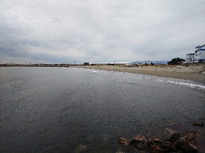 メッキシーズン終盤