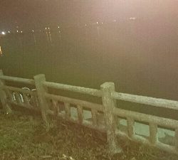 アオリイカ コウイカ