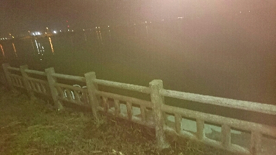 アオリイカ  コウイカ