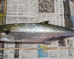 エエ感じの1時間