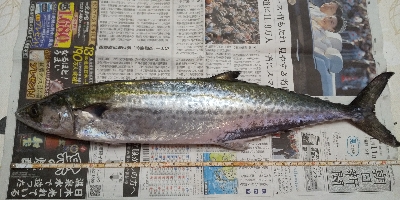 エエ感じの1時間