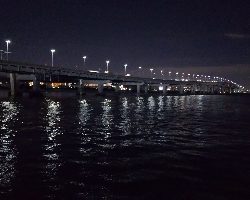 ルアーだけに反応？