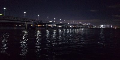 ルアーだけに反応？