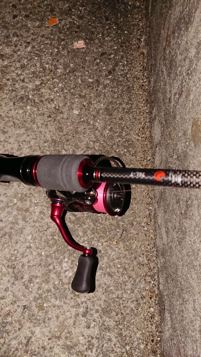 久々のライトゲーム