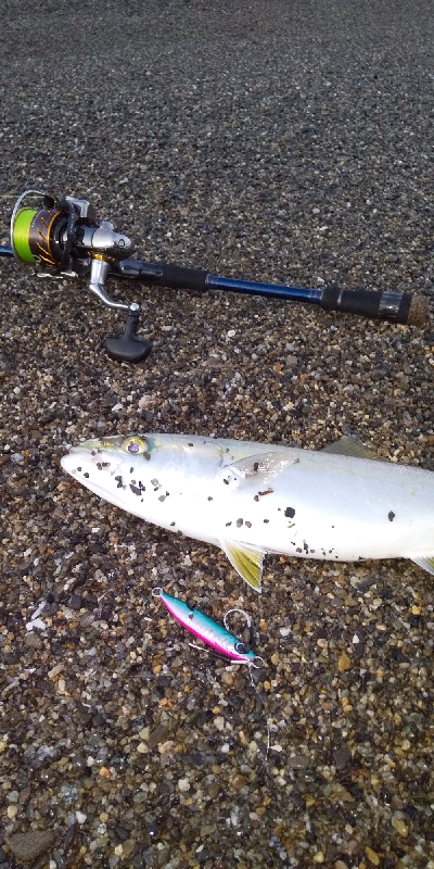 三重サーフで青物・ヒラメ