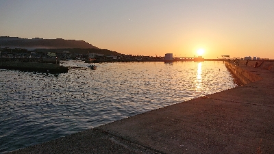 リベンジ、カレイ釣り