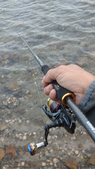 午後からエキング