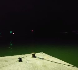 風の中アジング