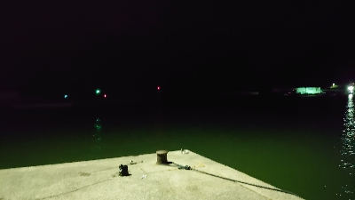 風の中アジング