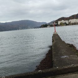 念願のスズキクラスゲット!!