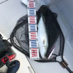 今年初太刀パターン