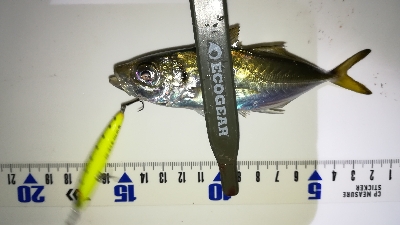 ナイトメバリング