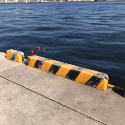 ショアジギング