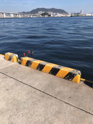 ショアジギング