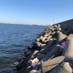 波止グレ好調！