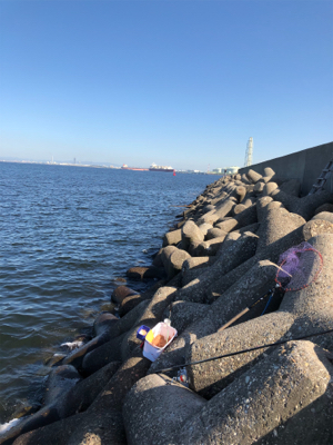 波止グレ好調！