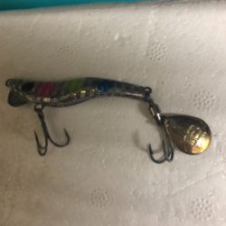 秋の釣りを満喫！