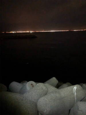 中アジがポロポロと