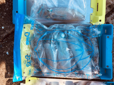 佐賀ティップラン