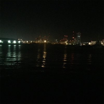 大阪湾奥アジング 好調