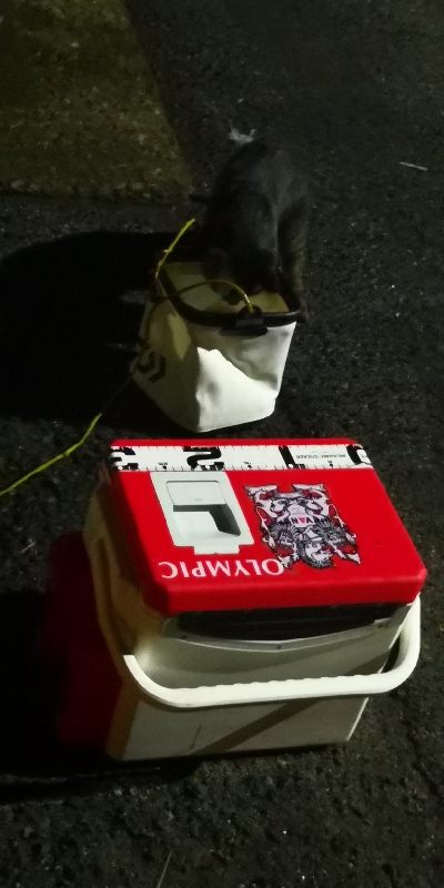 アジング練習 51