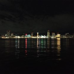 ポーアイで夜釣り