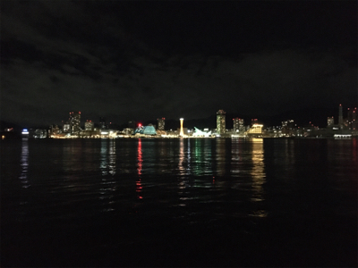 ポーアイで夜釣り