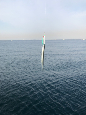 渋いショアジギ