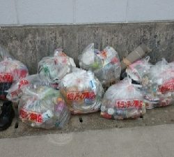 釣場清掃前後にエギングへ