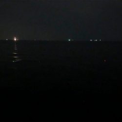 ムコイチ タチウオ&花火会場